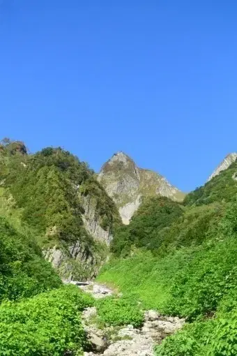 thumbnail-6